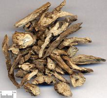 Chinese Pulsaiilla Root Extract Chinese Pulsaiilla Root Extract